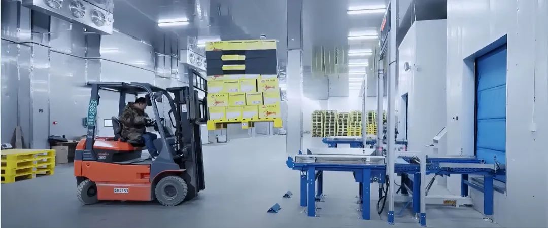 寶潤(rùn)達(dá)聚氨酯冷庫(kù)板廠家 寶潤(rùn)達(dá)聚氨酯冷庫(kù)板廠家